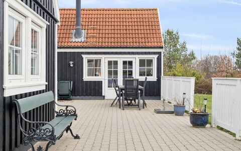 Franka - 1.1Km from the Sea: Plantengemeenschap, Zonlicht, Kruidachtige Plant, Tuin, Plantage, Landbouw, Boerderij