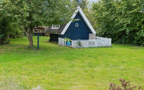 Aleksia - 1.4Km from the Sea: Vegetation, Struik, De Lente, Verblijf, Tuin, Schaduw, Backyard, Werf, Stoel