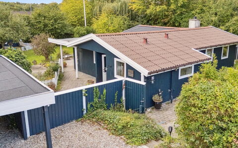 Aleksia - 1.4Km from the Sea: Vegetation, Struik, De Lente, Verblijf, Tuin, Schaduw, Backyard, Werf, Stoel