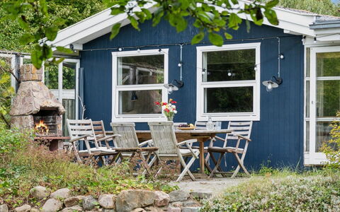 Aleksia - 1.4Km from the Sea: Vegetation, Struik, De Lente, Verblijf, Tuin, Schaduw, Backyard, Werf, Stoel