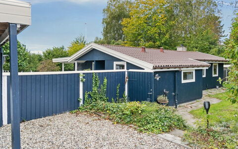 Aleksia - 1.4Km from the Sea: Vegetation, Struik, De Lente, Verblijf, Tuin, Schaduw, Backyard, Werf, Stoel