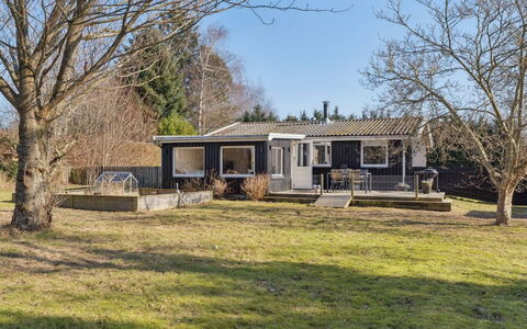 Pihla - 1Km from the Sea: Vegetation, Struik, De Lente, Verblijf, Tuin, Schaduw, Backyard, Werf, Stoel