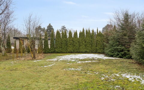 Gittel - 200M from the Sea: Struik, Tuin, Woody Plant, Lariks, Gazon, Evergreen, Landscaping, Bos, Park