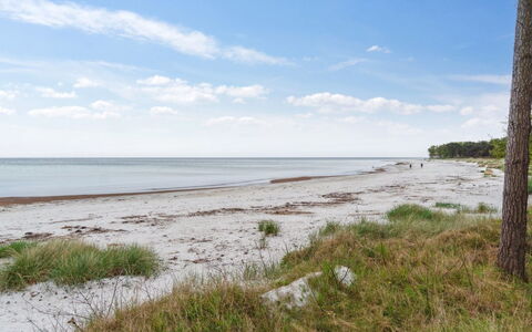 Apelun - 60M from the Sea: Dak, Huis, Huis, Verblijf, Deur, Siding, Landgoed, Gazon, Werf, Veranda