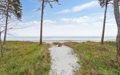 Liska - 60M from the Sea: Hout, Dak, Huis, Huis, Architectuur, Siding, Land Lot, Verblijf, Schuur, Garden Gebouwen