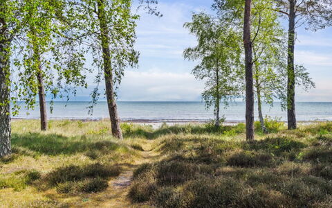 Liska - 60M from the Sea: Hout, Dak, Huis, Huis, Architectuur, Siding, Land Lot, Verblijf, Schuur, Garden Gebouwen