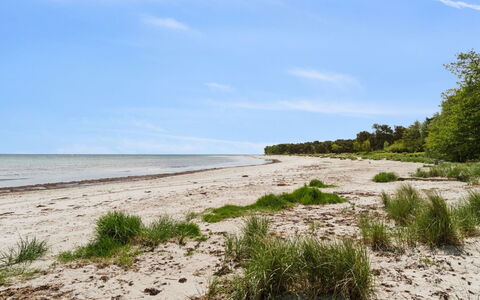 Liska - 60M from the Sea: Hout, Dak, Huis, Huis, Architectuur, Siding, Land Lot, Verblijf, Schuur, Garden Gebouwen