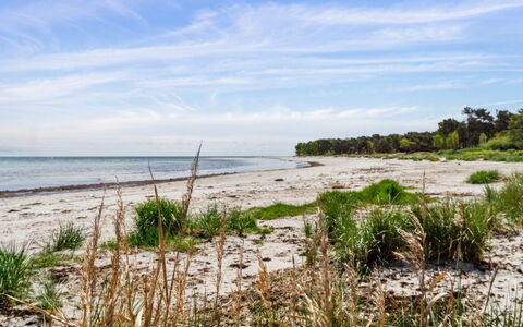 Liska - 60M from the Sea: Hout, Dak, Huis, Huis, Architectuur, Siding, Land Lot, Verblijf, Schuur, Garden Gebouwen
