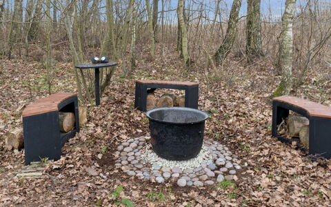 Eggerich - 700M from the Sea: Vegetation, Struik, De Lente, Verblijf, Tuin, Schaduw, Backyard, Werf, Stoel