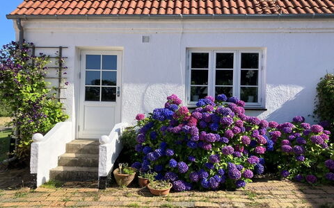 Hening - 150M from the Sea: Gebouw, Huis, Venster, Huis, Dak, Woongebied, Struik, Verblijf, Land Lot