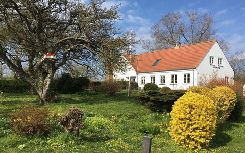 Hening - 150M from the Sea: Gebouw, Huis, Venster, Huis, Dak, Woongebied, Struik, Verblijf, Land Lot
