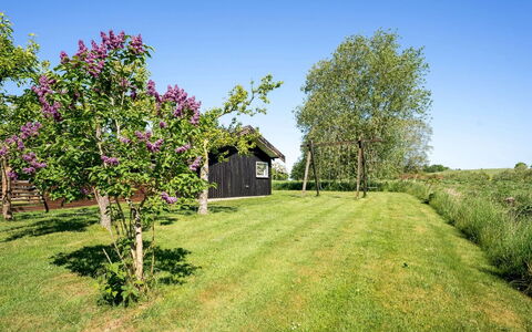 Svenne - 600M from the Sea: Groen, Struik, Tuin, Land Lot, Groundcover, De Lente, Verblijf, Gazon, Weide, Werf