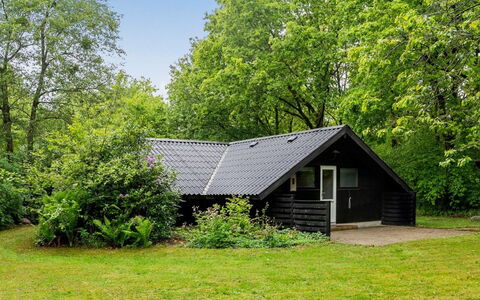 Sölvy - 30Km from the Sea: Verblijf, Huis, Tuin, Schaduw, Garden Gebouwen, Gazon, Schuur, Siding, Blokhut, Backyard