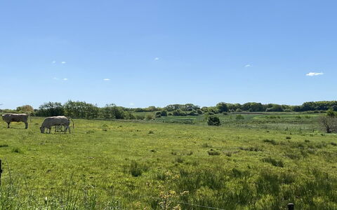 Grimi - 36Km from the Sea: Blauw, Struik, Verblijf, Groundcover, Tuin, Landgoed, Schaduw, Landscaping, Boerderij, Eco Hotel
