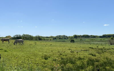 Grimi - 36Km from the Sea