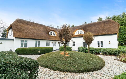 Jolanda: Blauw, Struik, Verblijf, Groundcover, Tuin, Landgoed, Schaduw, Landscaping, Boerderij, Eco Hotel
