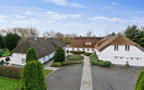 Jolanda: Blauw, Struik, Verblijf, Groundcover, Tuin, Landgoed, Schaduw, Landscaping, Boerderij, Eco Hotel