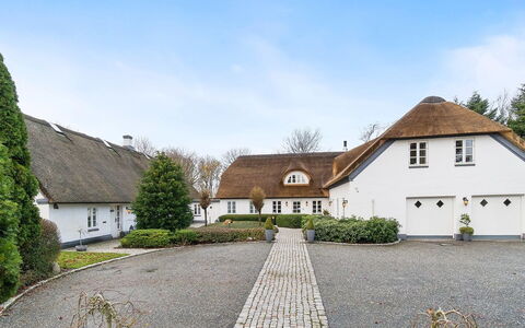 Jolanda: Blauw, Struik, Verblijf, Groundcover, Tuin, Landgoed, Schaduw, Landscaping, Boerderij, Eco Hotel