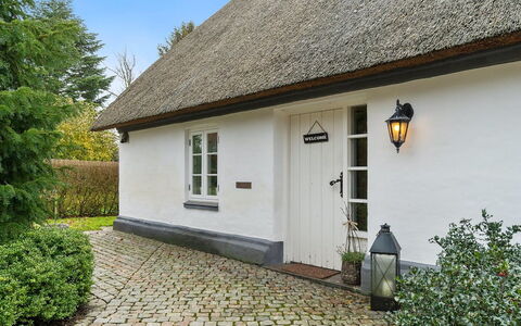 Jolanda: Blauw, Struik, Verblijf, Groundcover, Tuin, Landgoed, Schaduw, Landscaping, Boerderij, Eco Hotel
