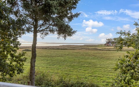 Aave - 5Km from the Sea: Lucht, Natuurlijk Landschap, Vegetation, Horizon, Grasland, Plain, Land Lot, Ochtend, Prairie, Zonlicht