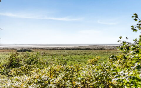 Aave - 5Km from the Sea: Lucht, Blauw, Groen, Dag, Bloem, Geel, Vegetation, Horizon, Ecoregio, Plantengemeenschap