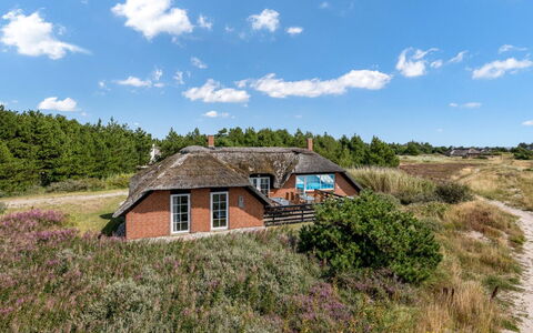 Eweline - 700M from the Sea: Gras, Dak, Huis, Verblijf, Struik, Landschap, Landelijk Gebied, Ecoregio, Land Lot