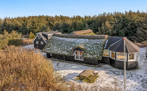 Oskar - 300M from the Sea: Groen, Heuvel, Hoogland, Landbouw, Plantage, Heuvel Station, Veld, Landelijk Gebied, Weide, Pasture