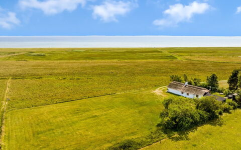 Vilvi - 250M to the Fjord: Groen, Heuvel, Hoogland, Landbouw, Plantage, Heuvel Station, Veld, Landelijk Gebied, Weide, Pasture