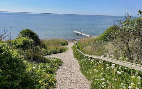 Bosse - 200M to the Fjord: Zee, Kust, Kust En Oceanic Landvormen, Struik, Oceaan, Plantengemeenschap, Groundcover, Kust, Gang, Shrubland