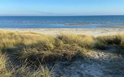 Nanne - from the Sea