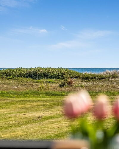 Nomi - 100M from the Sea