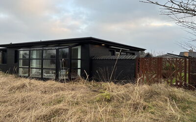 Falk - 900M from the Sea