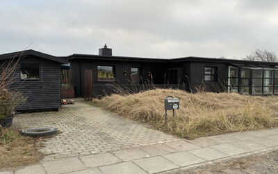 Falk - 900M from the Sea