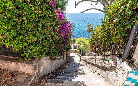 Villa Cristina: Blauw, Groen, Vegetation, Struik, De Lente, Zee, Oceaan, Gang, Tropen