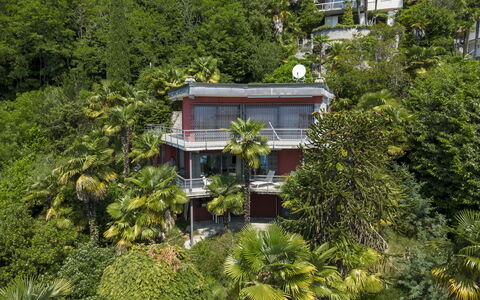 Max: Boom, Vegetation, Struik, Balkon, Landgoed, Hacienda, Jungle, Eco Hotel, Villa