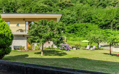 Family Home: Struik, Tuin, Gazon, Landscaping, Werf, Hacienda, Boerderij, Eco Hotel, Backyard, Villa