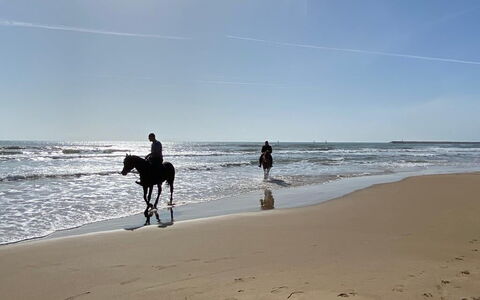Appartamento Tramonto sul Mare: Strand, Paard, Zee, Kust, Recreatie, Oceaan, Kust, Kust En Oceanic Landvormen, Zand