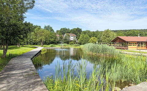 Petra: Water, Zwemwater, Natuur, Natuurlijk Landschap, Waterloop, Bank, Reflectie, Vijver, Meer