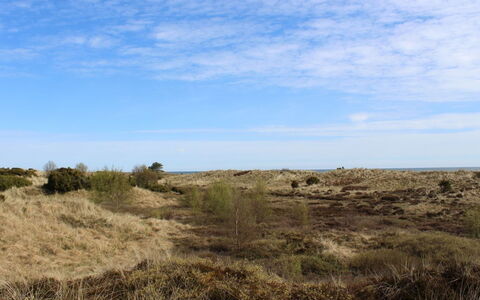 Mavis - 1.6Km from the Sea: Lucht, Blauw, Natuurlijke Omgeving, Gras, Vegetation, Ecoregio, Grasland, Horizon, Shrubland, Plantengemeenschap