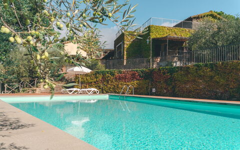 House in the Woods, Pool and Relax in Umbria: Zwembad, Toevlucht, Eco Hotel, Hacienda, Landgoed, Villa, Schaduw, Tuin, Backyard, Landscaping