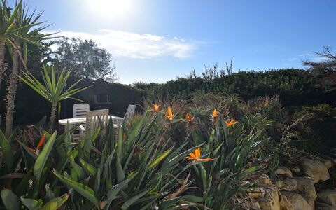 Punta Braccetto Fronte Mare: Tuin, Landscaping, Botanische Tuin