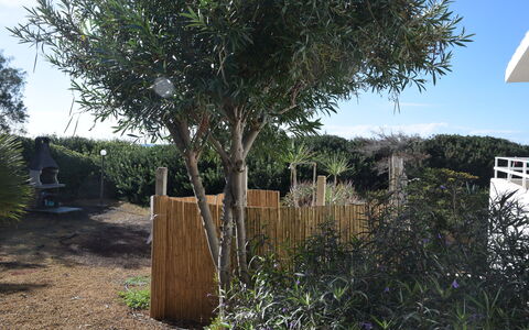 Punta Braccetto Fronte Mare: Struik, Woody Plant, Tuin, Landscaping, Werf, Backyard, Hek