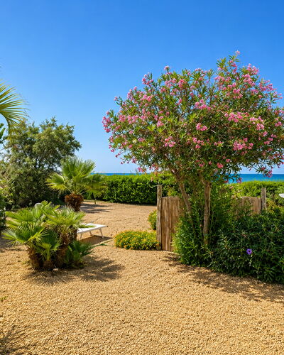 Punta Braccetto Fronte Mare