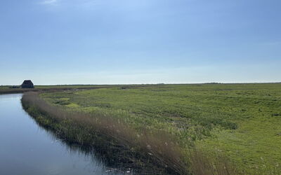 Tessa - 19Km from the Sea