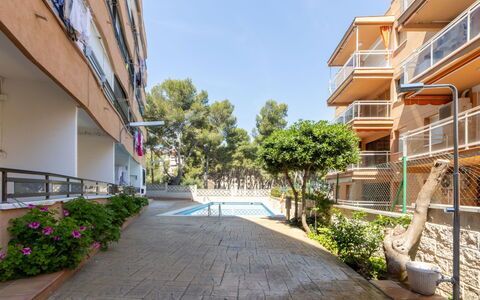 Fluromar: Appartement, Balkon, Kust, Hotel, Toevlucht, Badplaats, Badplaats, Baai, Penthouse
