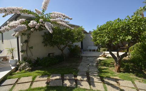 Villa Benvenuti al Sud: Tuin, Schaduw, Backyard, Landscaping, Werf, Flagstone, Gang, Binnenplaats, Outdoor Structuur