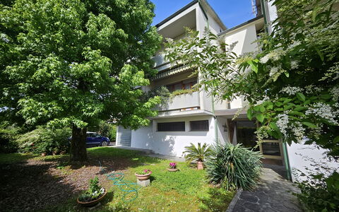 Alle Gardenie: Struik, Woongebied, Huis, Tuin, Landgoed, Werf, Schaduw, Landscaping, Oprit, Backyard