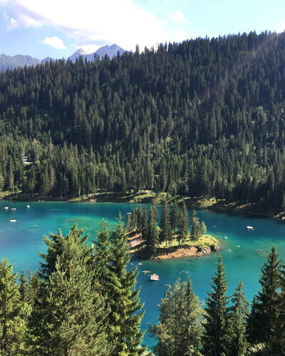 Flims 796