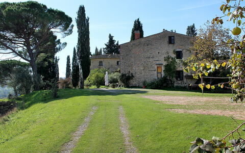 Il Poggio: Gras, Eigendom, Kasteel, Landgoed, Gazon, Gebouw, Boom, Tuin, Lucht