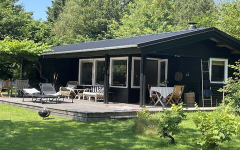 Naema - 1Km from the Sea: Landgoed, Schaduw, Oprit, Boerderij